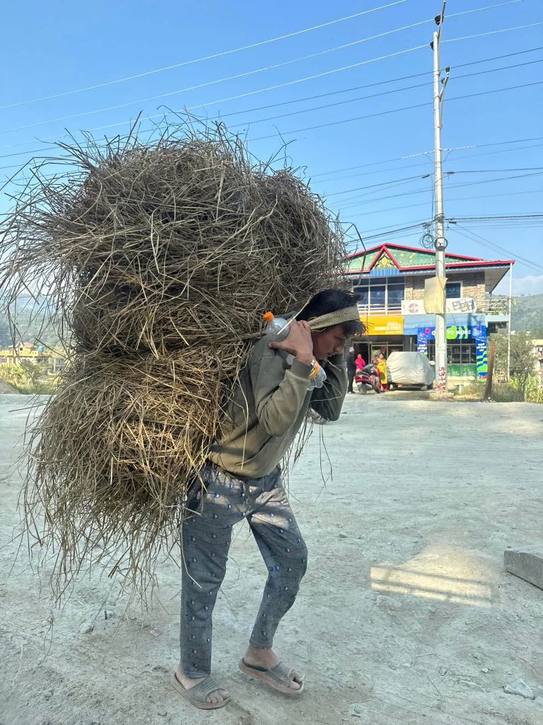 820_trp_pic_WorkingLoad1